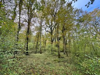  Terrain � vendre 82016 m�