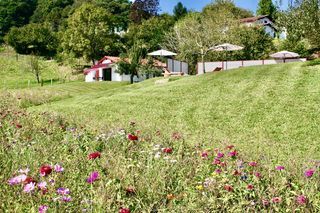  Maison � vendre 11 pi�ces 377 m�