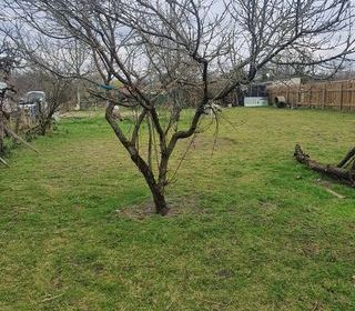  Terrain � vendre 740 m�