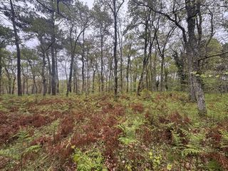  Terrain � vendre 48400 m�