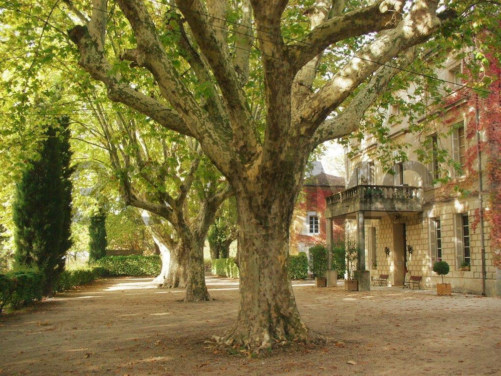 � vendre  Propri�t�/ch�teau Boll�ne (84500)