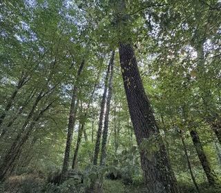  Terrain � vendre 50154 m�