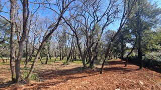  Terrain � vendre 940 m�