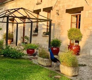  Maison � vendre 8 pi�ces 271 m�