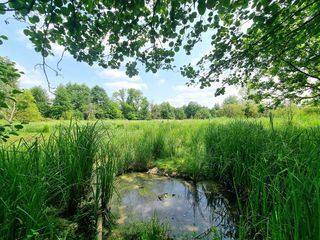  Immeuble � vendre 15 + pi�ces 642 m�