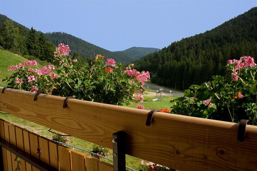 � vendre  Maison G�rardmer (88400)