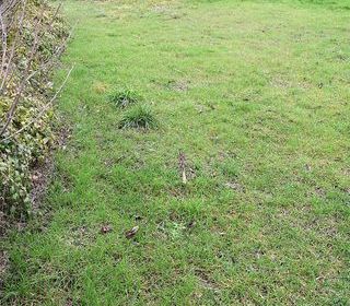  Terrain � vendre 758 m�