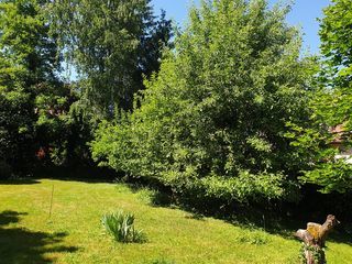  Maison � vendre 9 pi�ces 292 m�