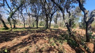  Terrain � vendre 940 m�