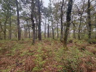  Terrain � vendre 48400 m�