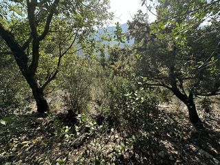  Terrain � vendre 6839 m�