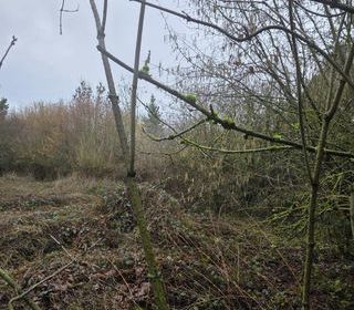  Maison � vendre 3 pi�ces 66 m�