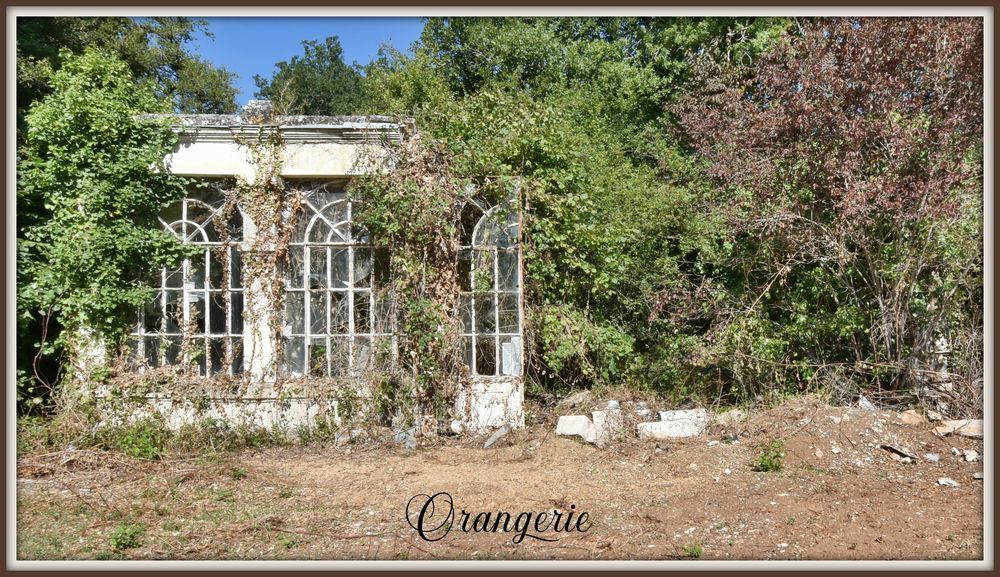 � vendre  Propri�t�/ch�teau Biard (86580)