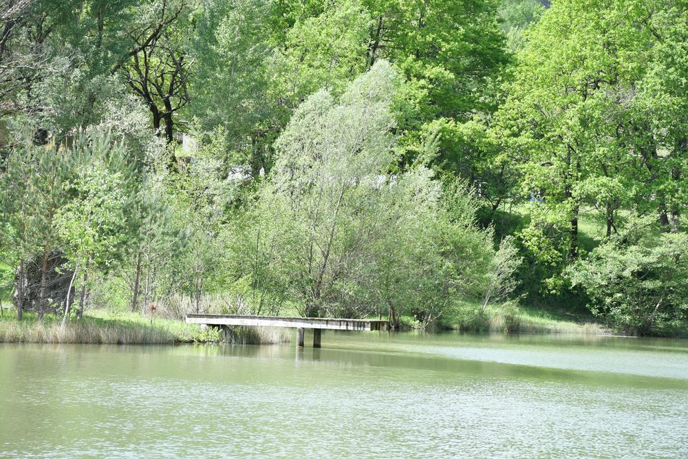 � vendre  Maison Carcassonne (11000)