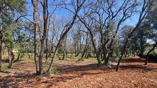  Terrain � vendre 1200 m�