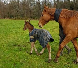  Maison � vendre 7 pi�ces 204 m�