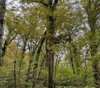  Terrain � vendre 82016 m�