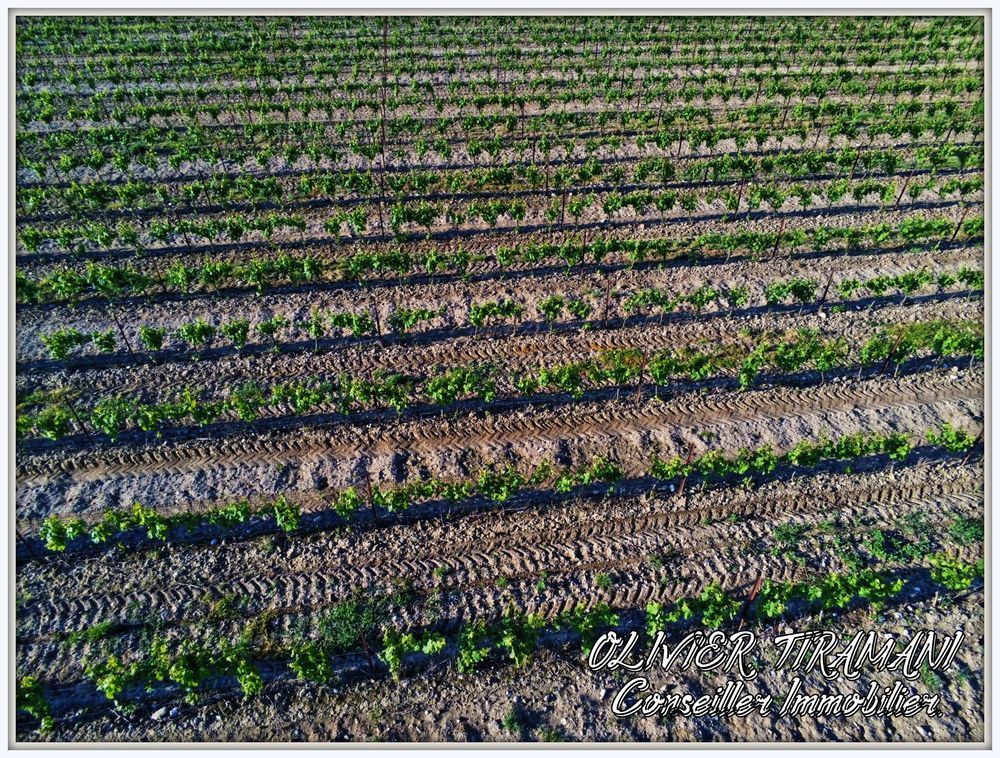 � vendre  Propri�t�/ch�teau Capendu (11700)