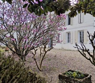  Maison � vendre 276 m�