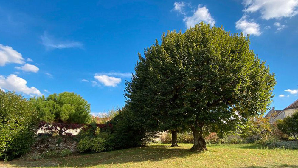 � vendre  Maison Mennecy (91540)