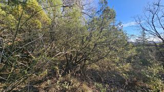  Terrain � vendre 24790 m�