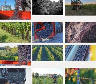  Propri�t�/ch�teau � vendre 1014 m�