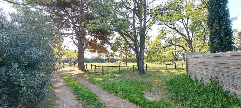 � vendre  Maison Saintes-Maries-de-la-Mer (13460)