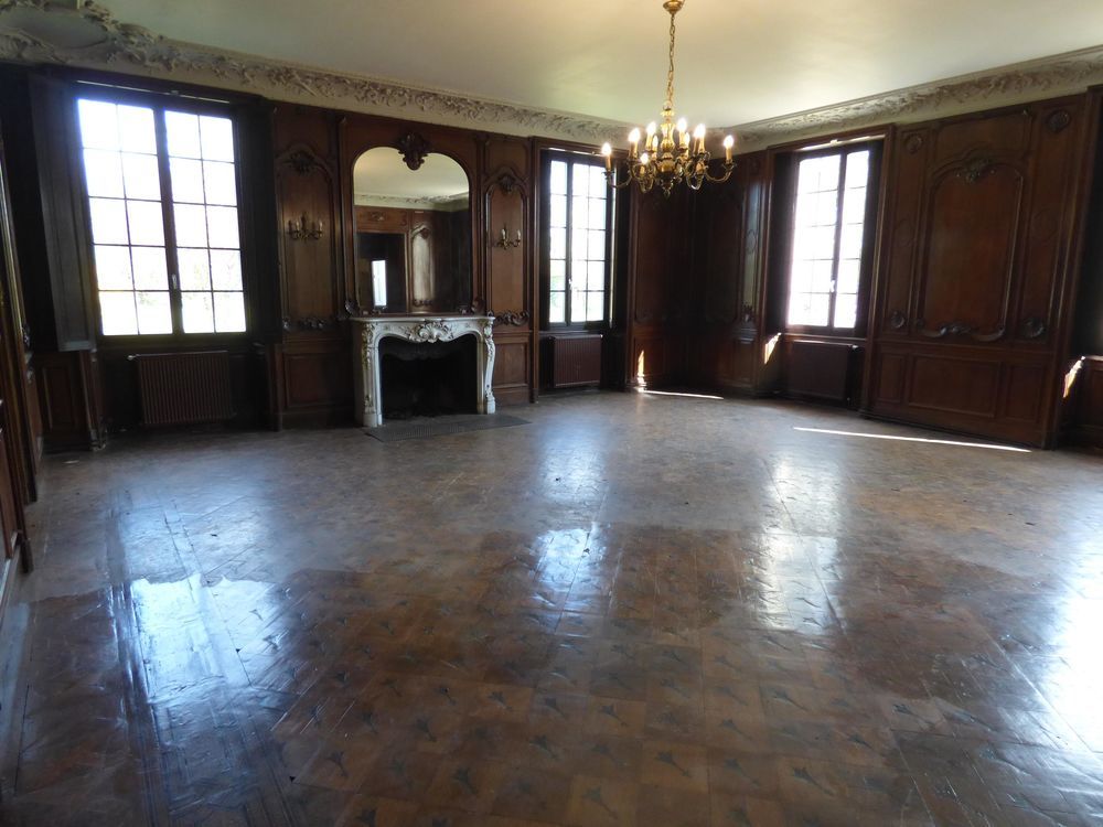 � vendre  Propri�t�/ch�teau Ligni�res (41160)