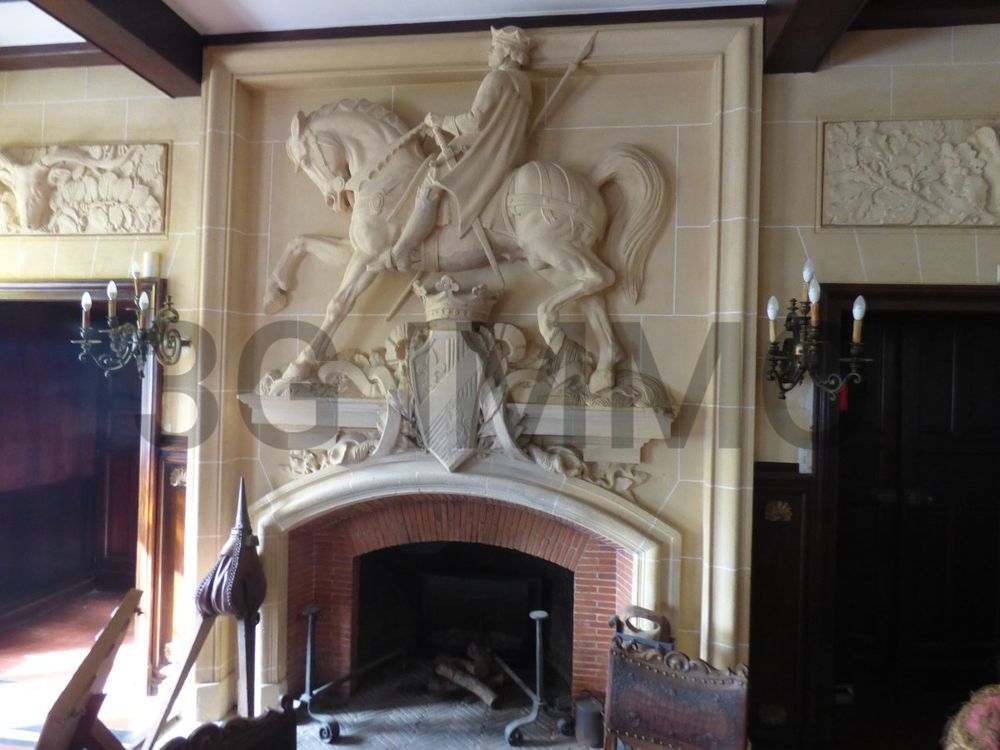 � vendre  Propri�t�/ch�teau Ligni�res (41160)