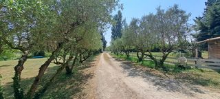  Maison � vendre 9 pi�ces 286 m�