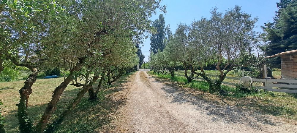 � vendre  Maison Arles (13200)