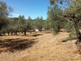  Maison � vendre 5 pi�ces 149 m�