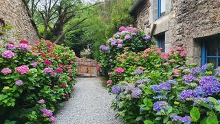  Propri�t�/ch�teau � vendre 10 pi�ces 288 m�