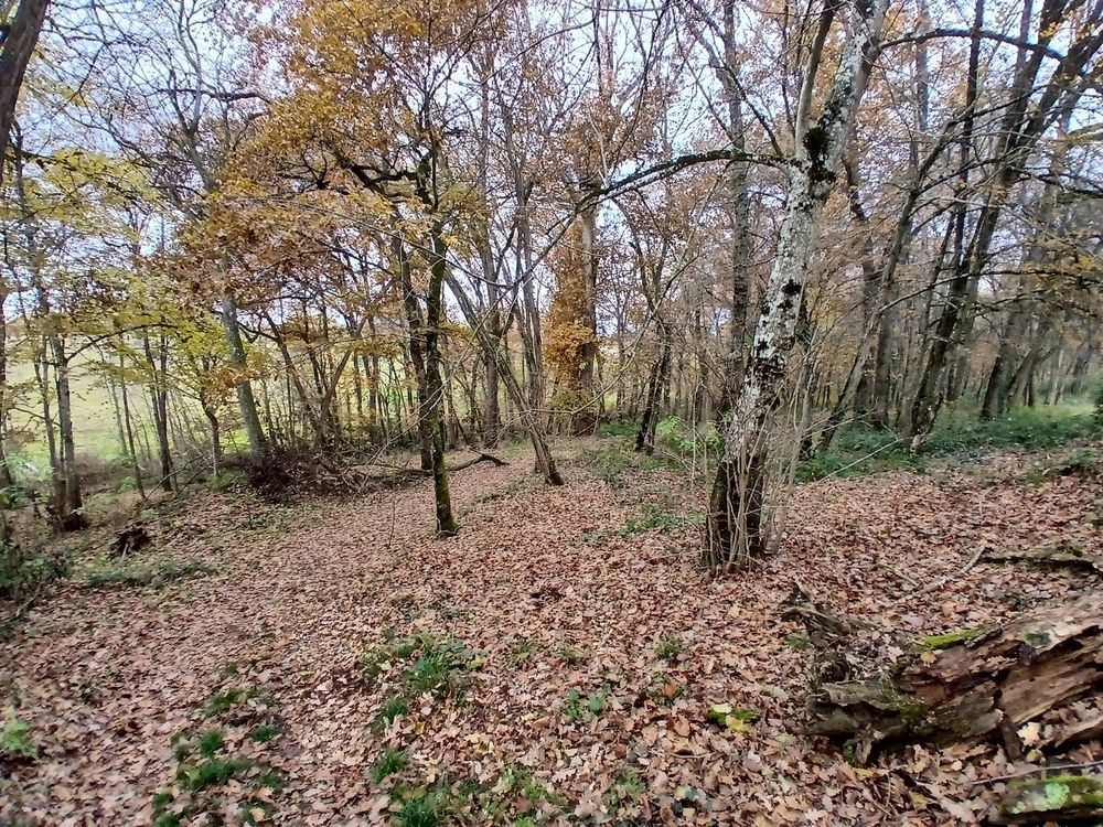 � vendre  Maison Lugan (81500)