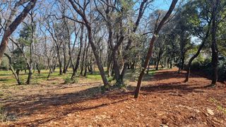  Terrain � vendre 1200 m�