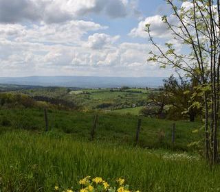  Terrain � vendre 516 m�