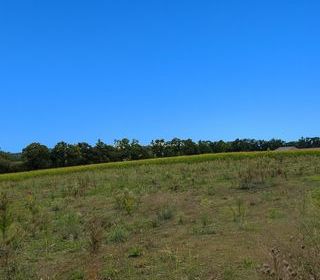  Terrain � vendre 305 m�