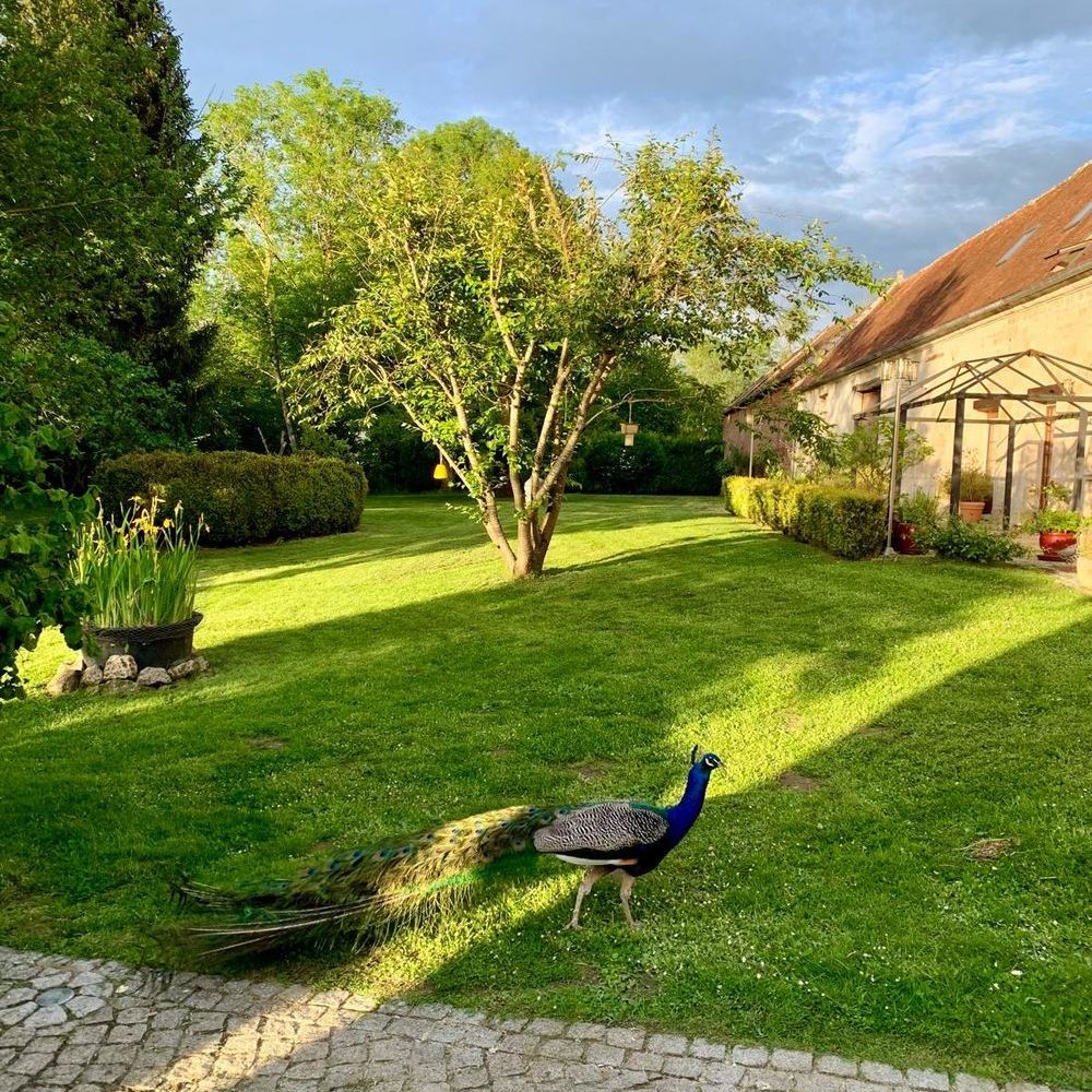 � vendre  Maison Compi�gne (60200)