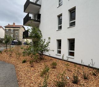  Appartement � louer 2 pi�ces 44 m�