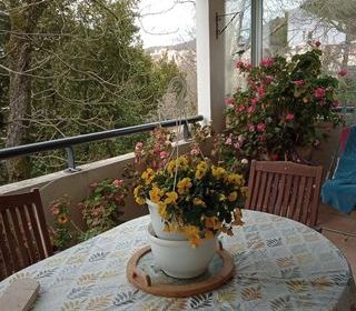  Maison � louer 3 pi�ces 60 m�