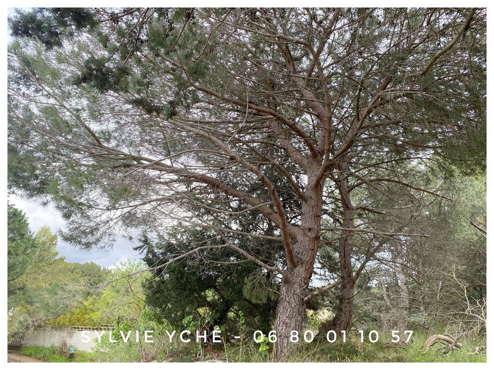 � vendre  Maison Narbonne (11100)