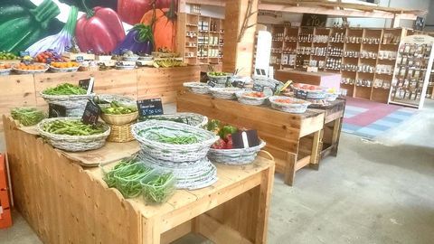 Vente murs pro  &agrave; Prades 40000 66500 Prades