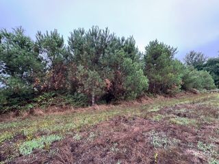  Terrain � vendre 159203 m�