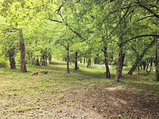  Maison � vendre 9 pi�ces 230 m�