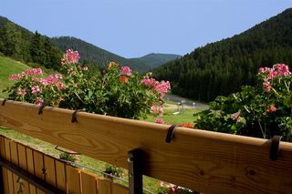  Maison � vendre 15 + pi�ces 1510 m�