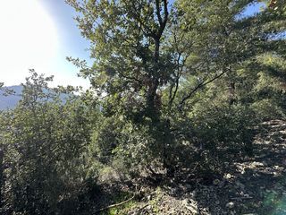  Terrain � vendre 6839 m�