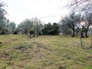  Terrain � vendre 950 m�