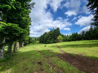  Maison � vendre 4 pi�ces 151 m�