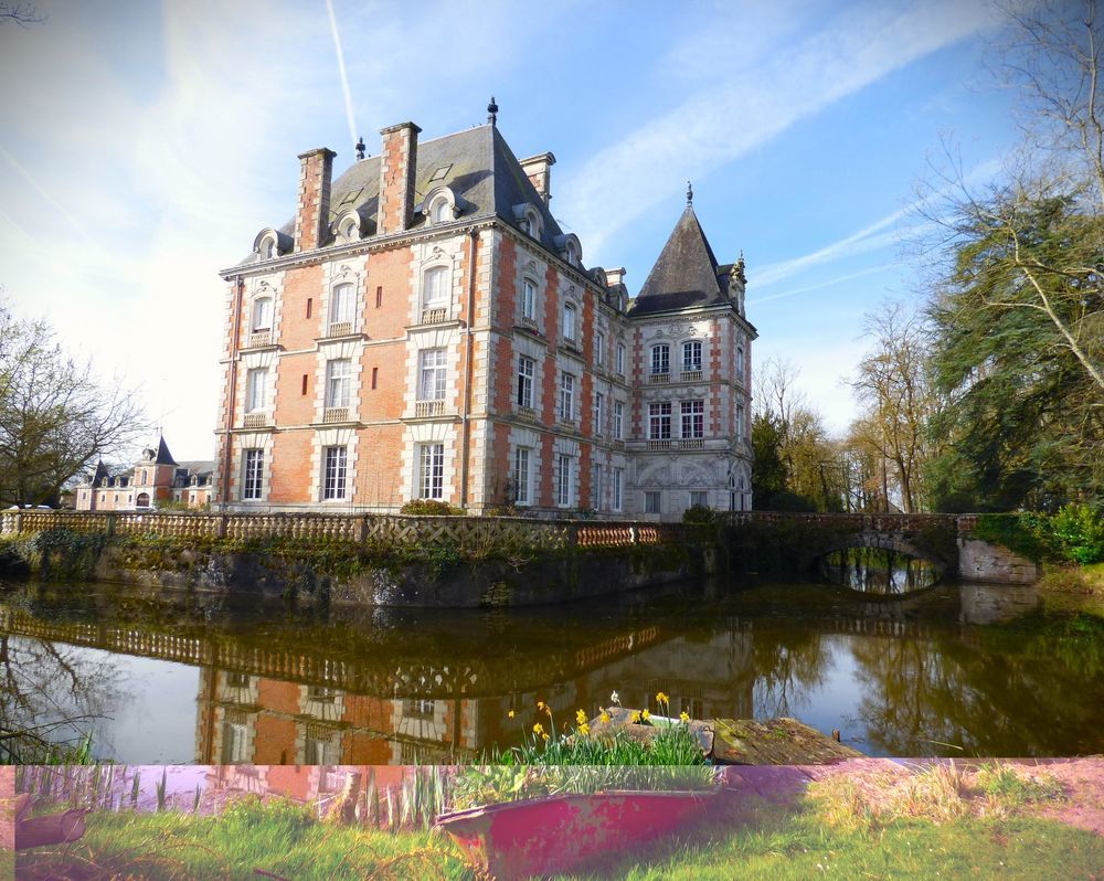 � vendre  Propri�t�/ch�teau Ligni�res (41160)