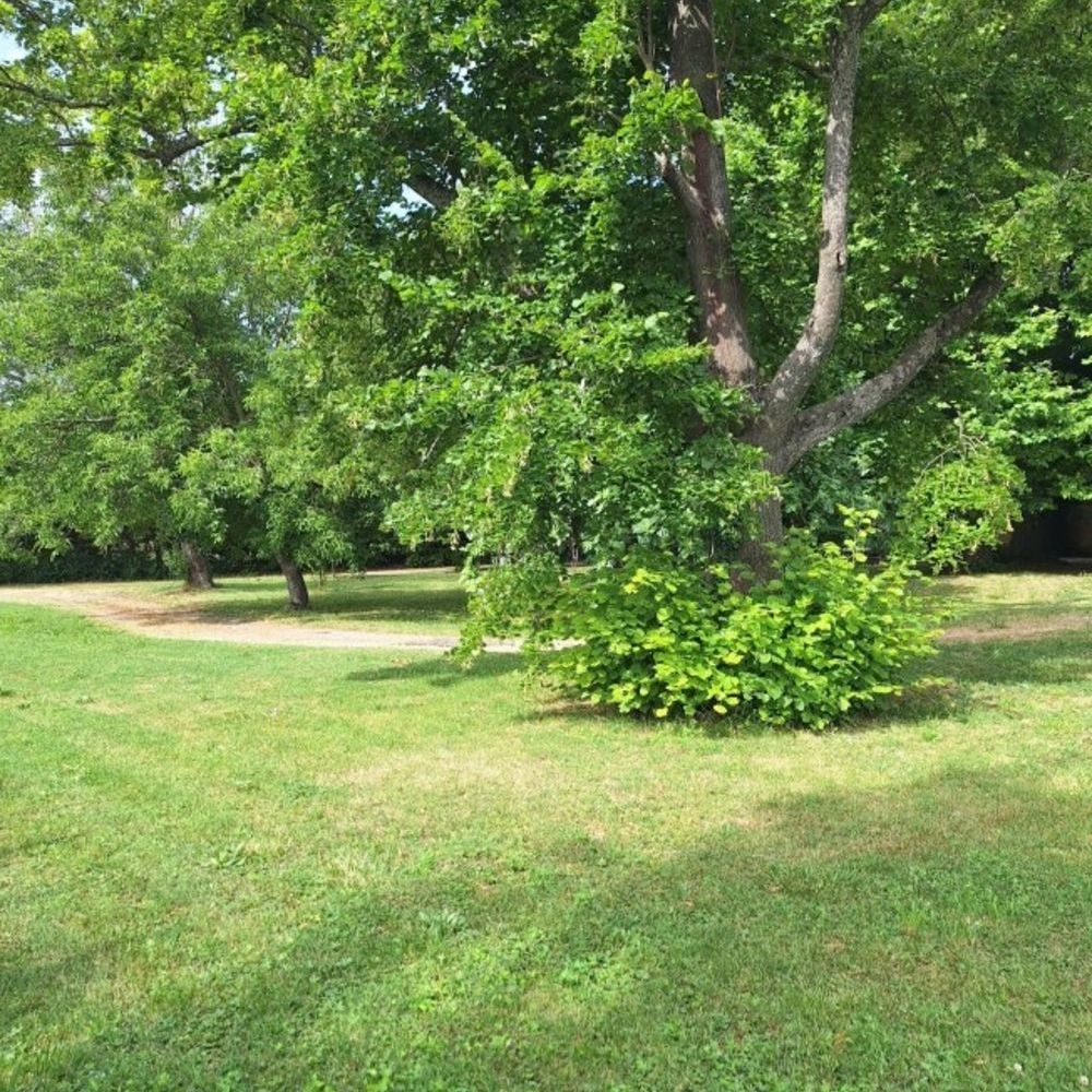 � vendre  Propri�t�/ch�teau Orange (84100)